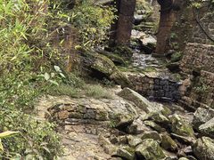 -黄山西海饭店-自助餐厅