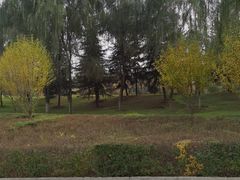 -洨河生态公园