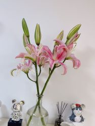 -美肤盾祛痘·问题肌头疗管理中心