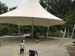 -合肥滨湖国家森林公园