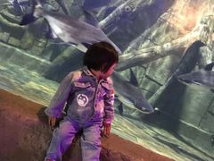 -梦幻海洋王国(吾悦广场张家港店)