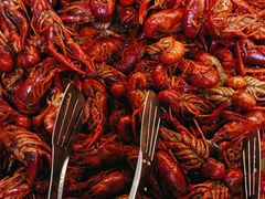 -韩厨烤肉火锅无限自助餐厅(潮流特区店)