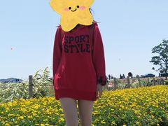 -光明小镇欢乐田园
