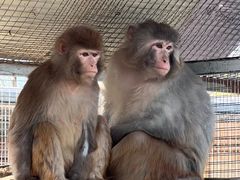 -北京市海淀外国语实验学校