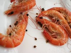 -渔民船说·北塘海鲜·天津菜·海肠捞饭(北塘古镇店)