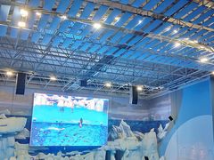 -福州罗源湾海洋世界旅游区