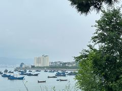 -海源公园