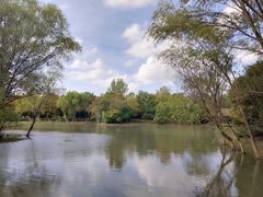 -长广溪湿地公园