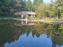 -庐山风景区花径公园