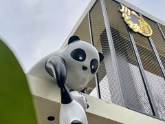 -嫩芽 ·地道重庆菜(十八梯露台夜景店)