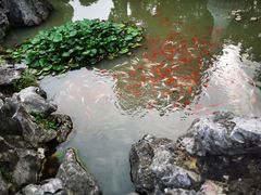 -玉女潭景区