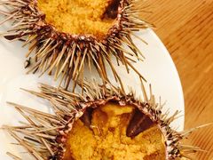 -海胆小馆(东北水饺·春柳店)