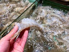 -渔友鲜海鲜加工(海鲜大世界店)