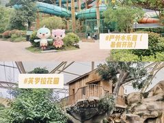 -杭州开元森泊度假乐园