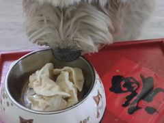 -趣玩宠物乐园寄养训犬训狗游泳池
