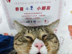 -御宝贝24h宠物医院·转诊中心·CT核磁血透中心(厦门总院)