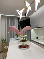 -OAE日式皮肤管理お肌の