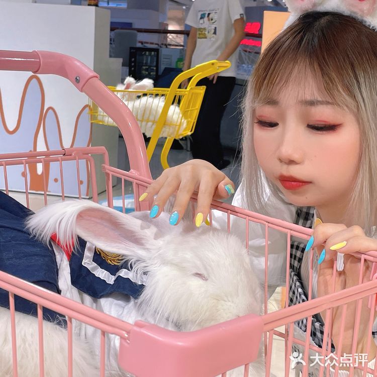 郑州探店｜Nice to meet U🐰爱玩萌兔体验馆