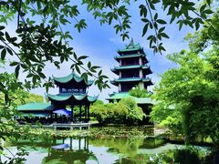 -桂湖森林公园