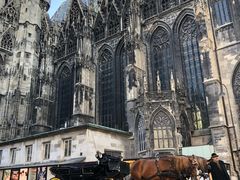 -斯蒂芬主教座堂(Stephansdom)