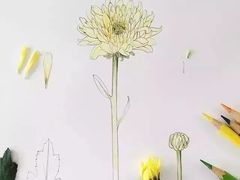 -八哥美术·成人美术画室(总校区)