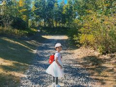 -春花秋色城市公园