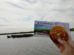-南大港湿地风景区