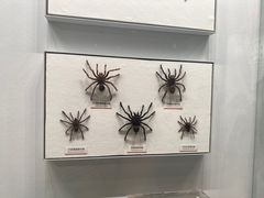 -四川大学博物馆