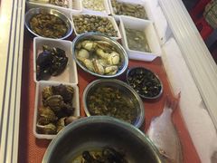 -食海部落