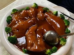 -丁老爷子苏香圆