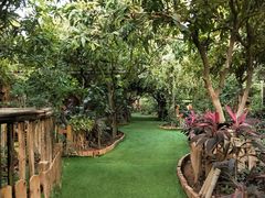 -呀路古热带植物园