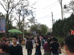 -西安青龙寺遗址景区
