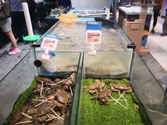-盒马鲜生(曜一城店)