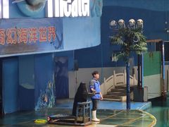 -苏州海洋馆