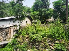 -水峪民俗村