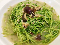 上汤豆苗-荔枝楼酒家(员村东璟店)