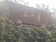 -三只耳火锅(宽窄巷子店)