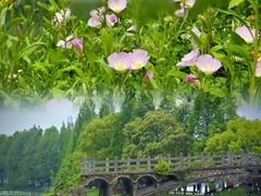 -石湖景区