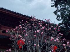 -在路上酒吧(大理古城店)