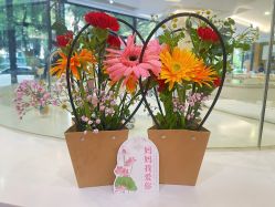 -宝生月子中心·独栋独院式(南山店)