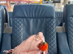 -威海大水泊国际机场