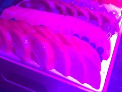 -温莎KTV(珠江路店)