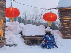 -沈阳奥体冰雪嘉年华