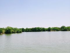 -长兴太湖图影湿地文化园