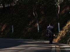 -火炉山森林公园