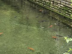 -日照大牌檔•小船海鲜(万平口店)