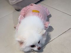 -怪兽屋·羊驼·猫咖·狗咖(俊华广场店)