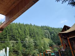 -苏木山森林公园