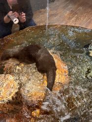 -Zoolung Zoolung动物主题公园(海信广场店)