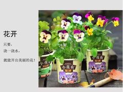 -百新书局(尚悦湾店)